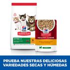 Hill’s Science Plan Kitten Healthy Cuisine Estufado de Frango e Legumes Saquetas, , large image number null